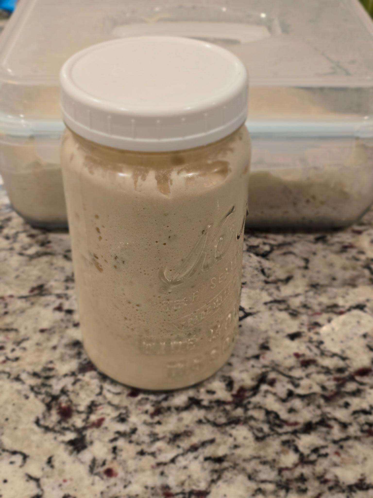 Super Simple Sour Dough Starter